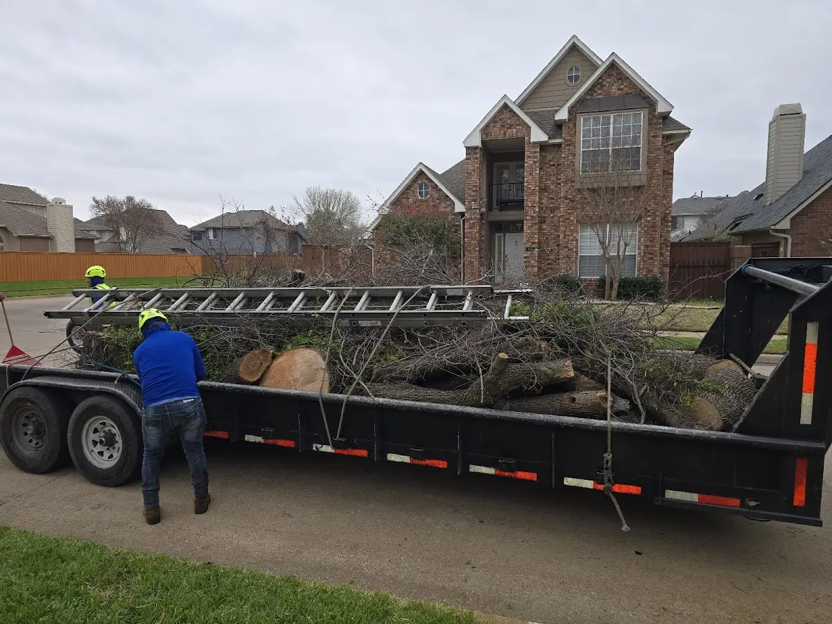 Expert Lot Clearing with proper safety equipment in Draper